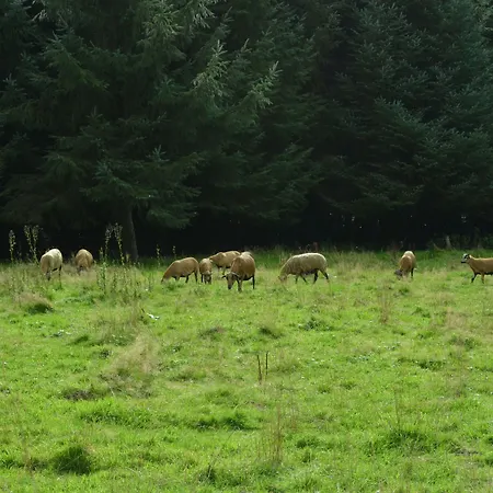 Gaestehaus Frei ゲストハウス