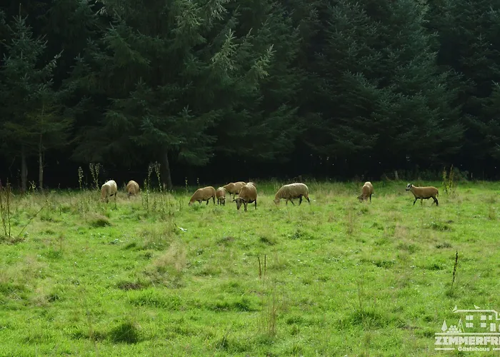 Gaestehaus Frei Πανσιόν
